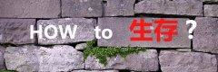 拍卖家具用什么软件